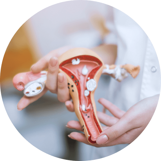 Симптомы железистого полипа эндометрия